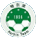 Heilongjiang Harbin Football Team